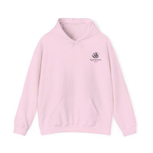 The Icon Hoodie (5 colors)